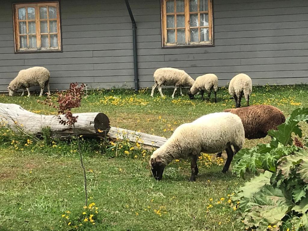 Parque La Pajarera Hotel Пуерто Варас Екстериор снимка
